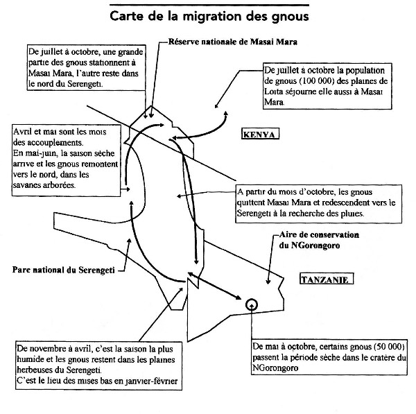 migration. breuil