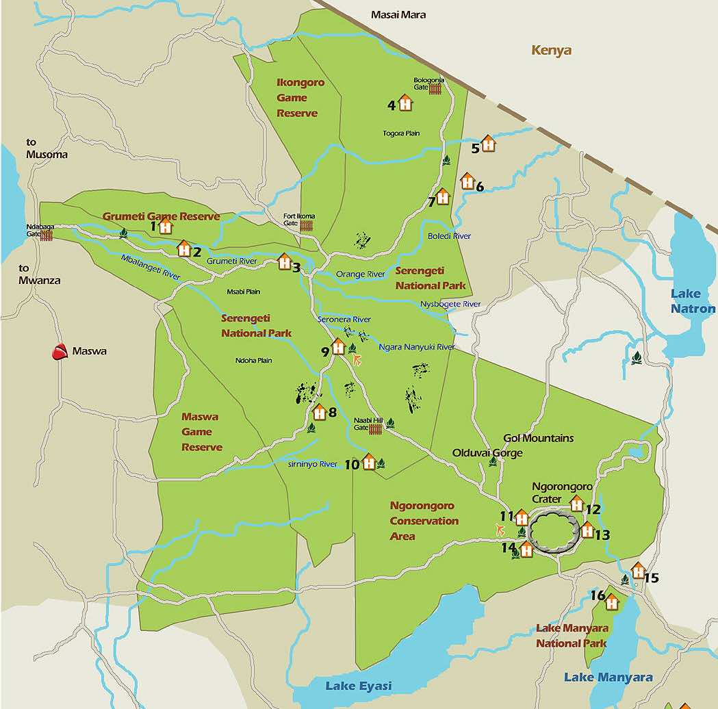 ecosysteme serengeti carte