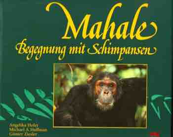 mahale chimpanzes d'Angelika Hofer
