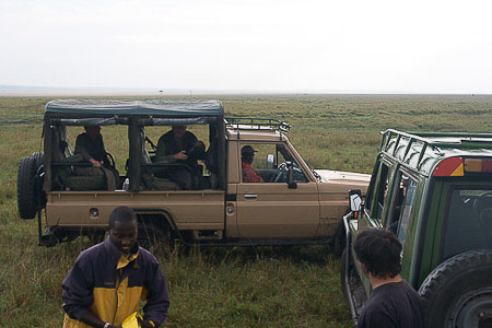 safari voiture 9874